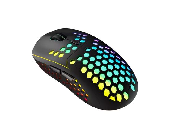 Мышка Canyon Haster GMW-18 Wireless Black (CND-SGMW18) Мышка Canyon Haster GMW-18 Wireless Black (CND-SGMW18)