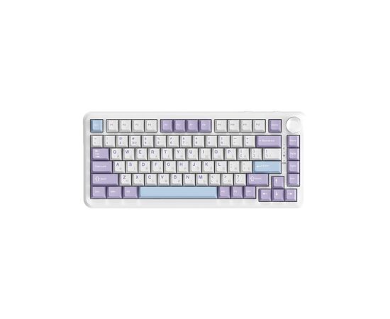 Клавіатура Ajazz AK820 MAX Magnetic Switch RGB USB White (AK820MAX-WM-PWB) Клавіатура Ajazz AK820 MAX Magnetic Switch RGB USB White (AK820MAX-WM-PWB)