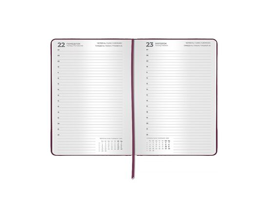 Еженедельник Axent датированный 2026 Classic Palermo, 145х210, сливовый (8843-26-6-A), изображение 3