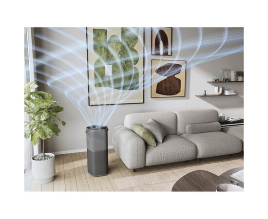 Воздухоочиститель Electrolux EPO60771DG, изображение 10 Воздухоочиститель Electrolux EPO60771DG, изображение 10