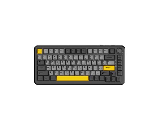 Клавіатура Ajazz AK820 MAX Magnetic Switch RGB USB Black (AK820MAX-WM-BGY) Клавіатура Ajazz AK820 MAX Magnetic Switch RGB USB Black (AK820MAX-WM-BGY)
