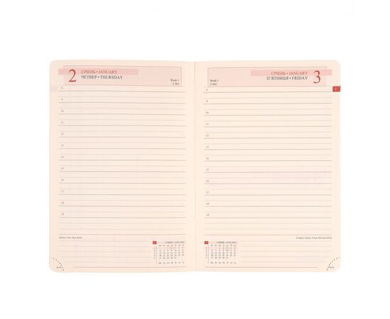 Еженедельник Leo planner датированный 2025 Identico 12x20 см синий (252512), изображение 5 Еженедельник Leo planner датированный 2025 Identico 12x20 см синий (252512), изображение 5