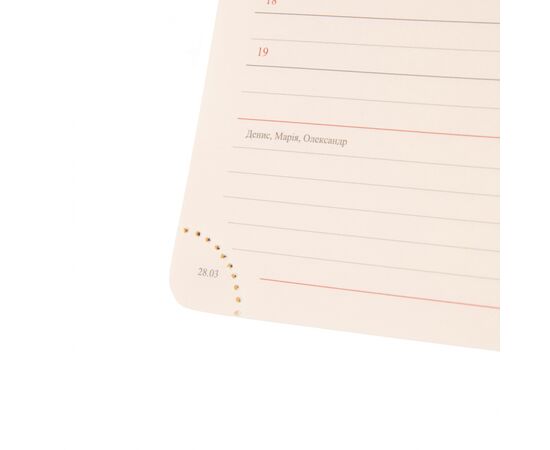 Еженедельник Leo planner датированный 2025 Monaco 12x20 см розовый (252506), изображение 8 Еженедельник Leo planner датированный 2025 Monaco 12x20 см розовый (252506), изображение 8