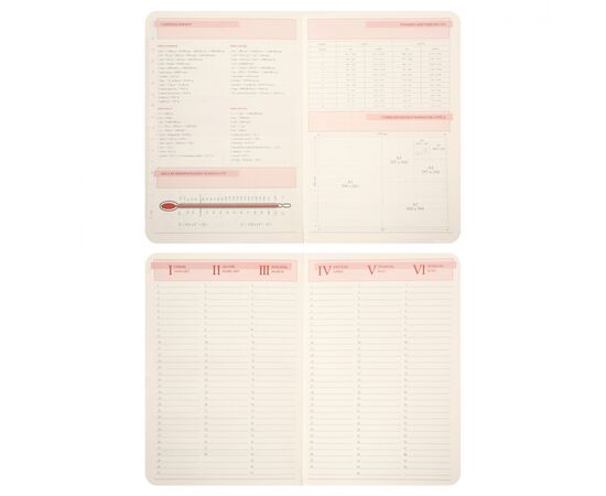 Еженедельник Leo planner А5 датированный 2026 "Chiara", жесткий, розовый, 368 страниц (252686), изображение 7 Еженедельник Leo planner А5 датированный 2026 "Chiara", жесткий, розовый, 368 страниц (252686), изображение 7
