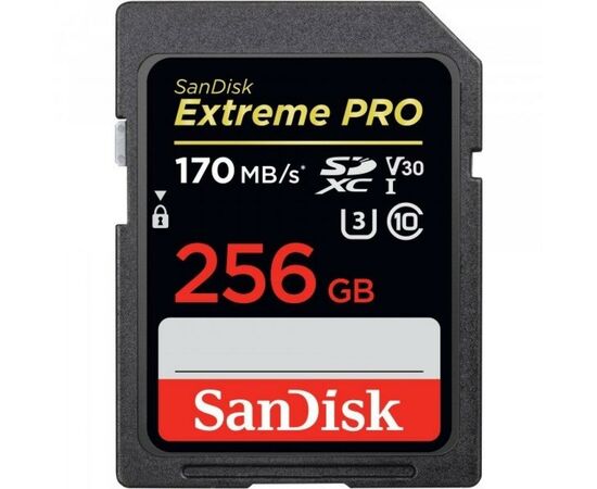 Карта памяти SanDisk 256GB SDXC class 10 UHS-I U3 Extreme Pro (SDSDXXY-256G-GN4IN) Карта памяти SanDisk 256GB SDXC class 10 UHS-I U3 Extreme Pro (SDSDXXY-256G-GN4IN)