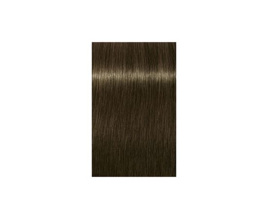 Краска для волос Schwarzkopf Professional Igora Royal 6-31 60 мл (4045787851106), изображение 2 Краска для волос Schwarzkopf Professional Igora Royal 6-31 60 мл (4045787851106), изображение 2