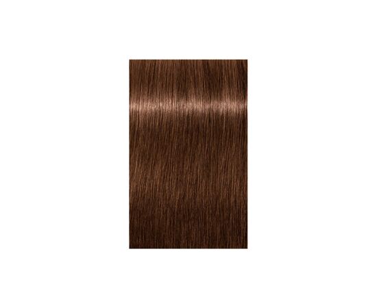 Фарба для волосся Schwarzkopf Professional Igora Royal 6-6 60 мл (4045787204865), зображення 2 Фарба для волосся Schwarzkopf Professional Igora Royal 6-6 60 мл (4045787204865), зображення 2