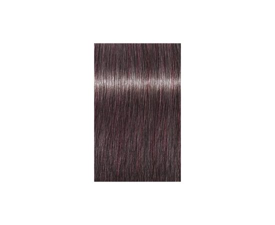 Фарба для волосся Schwarzkopf Professional Igora Royal 8-19 60 мл (4045787363463), зображення 2 Фарба для волосся Schwarzkopf Professional Igora Royal 8-19 60 мл (4045787363463), зображення 2