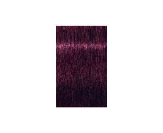Фарба для волосся Schwarzkopf Professional Igora Royal 6-99 60 мл (4045787204988), зображення 2 Фарба для волосся Schwarzkopf Professional Igora Royal 6-99 60 мл (4045787204988), зображення 2