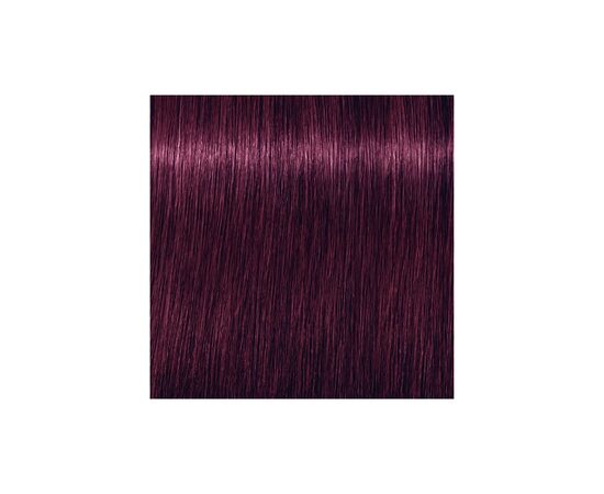 Фарба для волосся Schwarzkopf Professional Igora Vibrance 6-99 - Темно-русявий фіолетовий екстра (7702045328646), зображення 2 Фарба для волосся Schwarzkopf Professional Igora Vibrance 6-99 - Темно-русявий фіолетовий екстра (7702045328646), зображення 2