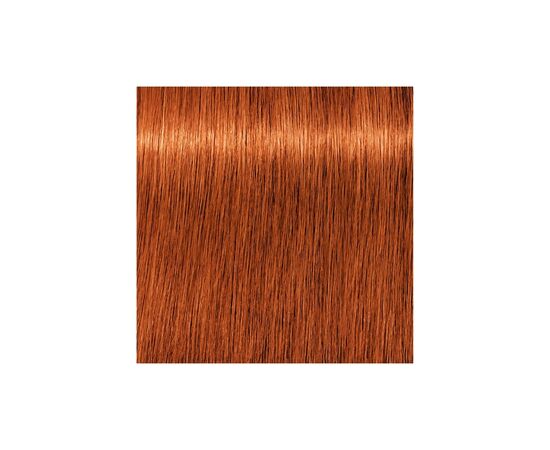 Фарба для волосся Schwarzkopf Professional Igora Vibrance 7-77 - Середньо-русявий мідний екстра (7702045558432), зображення 2 Фарба для волосся Schwarzkopf Professional Igora Vibrance 7-77 - Середньо-русявий мідний екстра (7702045558432), зображення 2