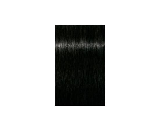 Краска для волос Schwarzkopf Professional Igora Royal 1-0 60 мл (4045787201284), изображение 2 Краска для волос Schwarzkopf Professional Igora Royal 1-0 60 мл (4045787201284), изображение 2