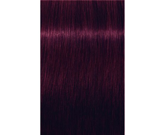 Фарба для волосся Schwarzkopf Professional Igora Royal 5-99 60 мл (4045787204728), зображення 2 Фарба для волосся Schwarzkopf Professional Igora Royal 5-99 60 мл (4045787204728), зображення 2