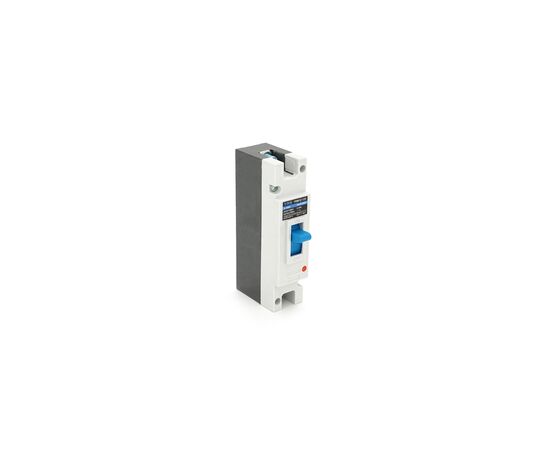 Автоматический выключатель YRO YRM1Z-125-100A-MCCB-1P, изображение 2 Автоматический выключатель YRO YRM1Z-125-100A-MCCB-1P, изображение 2