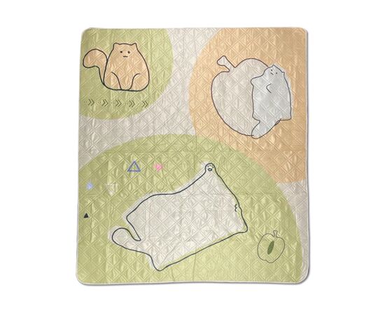 Туристический коврик Naturehike 210х240 см CNK2350WS010 Світло-салатовий (6976507661713) Туристический коврик Naturehike 210х240 см CNK2350WS010 Світло-салатовий (6976507661713)