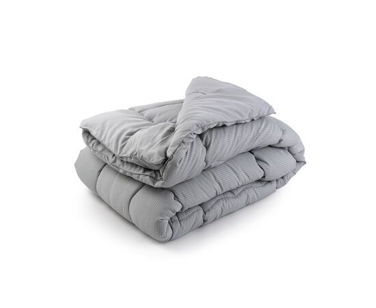 Одеяло Руно силиконизированным волокном 172х205 (316.52_Soft Line)