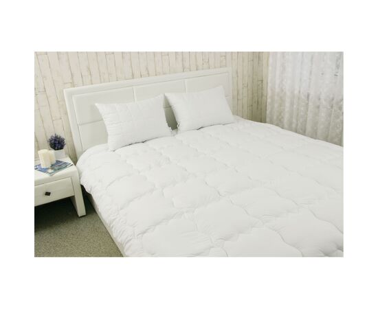 Одеяло Руно набор одеяло силиконовое Warm Silver 140х205+1 подушка 50х70 (924.52_Warm Silver), изображение 4 Одеяло Руно набор одеяло силиконовое Warm Silver 140х205+1 подушка 50х70 (924.52_Warm Silver), изображение 4