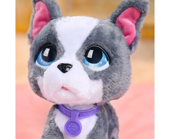 Интерактивная игрушка Furreal серии Walk-a-Lots – Французский бульдог (28161), изображение 3 Интерактивная игрушка Furreal серии Walk-a-Lots – Французский бульдог (28161), изображение 3