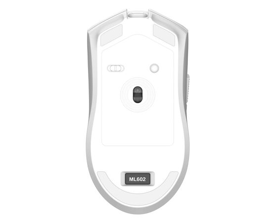 Мышка Thunderobot ML602 SE Dual Mode wireless (ML602SE), изображение 3 Мышка Thunderobot ML602 SE Dual Mode wireless (ML602SE), изображение 3