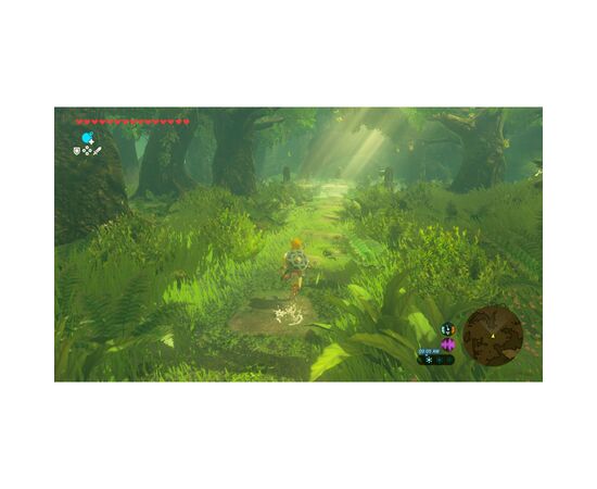 Игра Nintendo Legend of Zelda Breath of the Wild, картридж (Switch 2) (0045496312664), изображение 3 Игра Nintendo Legend of Zelda Breath of the Wild, картридж (Switch 2) (0045496312664), изображение 3