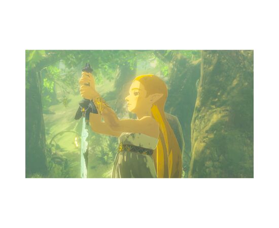 Игра Nintendo Legend of Zelda Breath of the Wild, картридж (Switch 2) (0045496312664), изображение 6 Игра Nintendo Legend of Zelda Breath of the Wild, картридж (Switch 2) (0045496312664), изображение 6