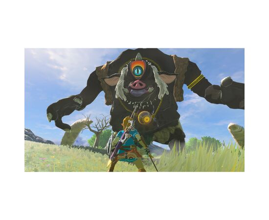 Игра Nintendo Legend of Zelda Breath of the Wild, картридж (Switch 2) (0045496312664), изображение 7 Игра Nintendo Legend of Zelda Breath of the Wild, картридж (Switch 2) (0045496312664), изображение 7
