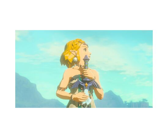 Игра Nintendo Legend of Zelda Tears of the Kingdom, картридж (Switch 2) (0045496312572), изображение 11 Игра Nintendo Legend of Zelda Tears of the Kingdom, картридж (Switch 2) (0045496312572), изображение 11