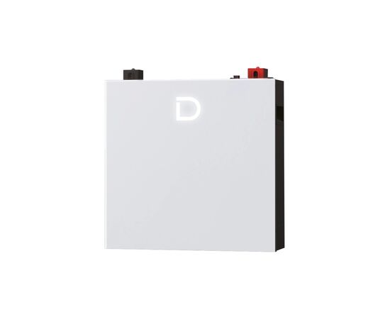 Батарея LiFePo4 Dyness DL5.0C Pro 51.2V - 100Ah (DL5.0C Pro) Батарея LiFePo4 Dyness DL5.0C Pro 51.2V - 100Ah (DL5.0C Pro)