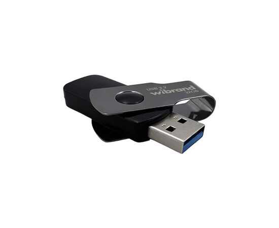USB флеш накопитель Wibrand 32GB Lizard Black USB 3.2 (WI3.2/LI32P9B)