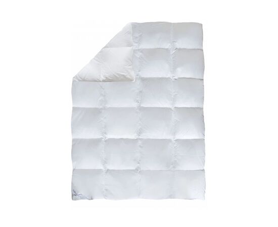 Одеяло Biederlack пуховое кассетное Диана К2 140х205 см (0590-32/01)