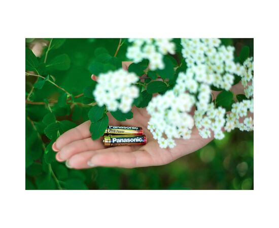 Батарейка Panasonic AAA LR03 Pro Power * 2 (LR03XEG/2BP), изображение 3