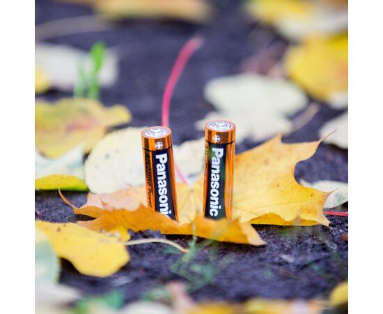 Батарейка Panasonic LR06 Alkaline Power * 2 (LR6REB/2BP), изображение 3