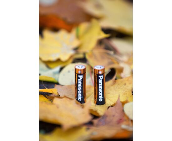 Батарейка Panasonic LR06 Alkaline Power * 2 (LR6REB/2BP), изображение 5