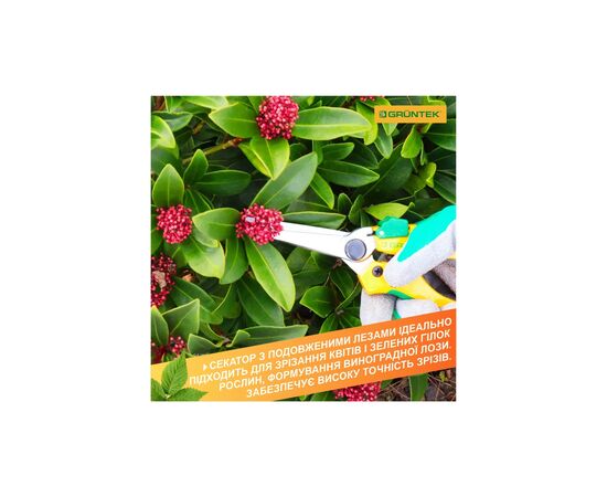 Секатор Gruntek Colibri Long обвідний, d 12мм,198мм (295170200), зображення 5