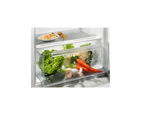 Холодильник Electrolux LRB3AE12S, изображение 3