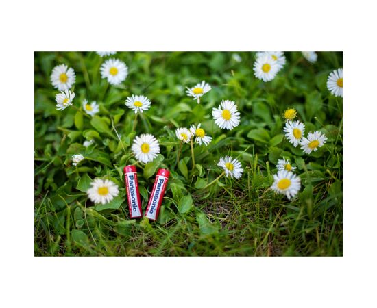 Батарейка Panasonic AAA R03 RED ZINK * 4 (R03REL/4BP), зображення 3