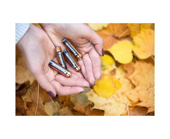 Батарейка Panasonic LR06 Alkaline Power * 20 (LR6REB/20BW), изображение 3