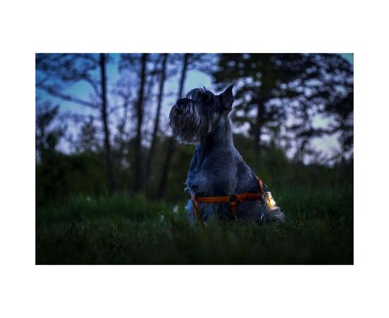 Ліхтар Armytek Zippy Extended Set Green (F06101GR), зображення 10