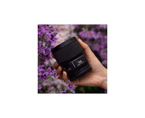 Об'єктив Panasonic Lumix S 100 mm F2.8 Macro (S-E100E), зображення 6