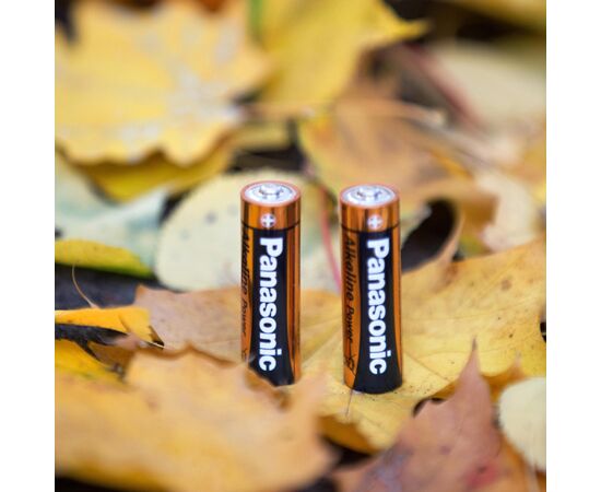 Батарейка Panasonic LR06 Alkaline Power * 10 (LR6REB/10BW), изображение 2