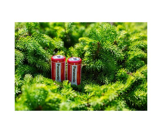 Батарейка Panasonic C R14 RED ZINK * 2 (R14REL/2BPR), зображення 3