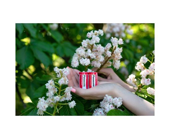 Батарейка Panasonic C R14 RED ZINK * 2 (R14REL/2BPR), зображення 4