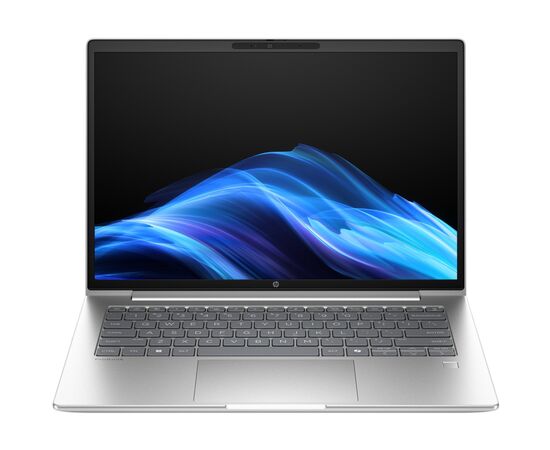 Ноутбук HP ProBook 4 G1a (B9ZF8ET)