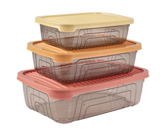 Пищевой контейнер Herevin Rectangular Storage Bowl Set-2024 Colours Набір 3 шт (163330-150)
