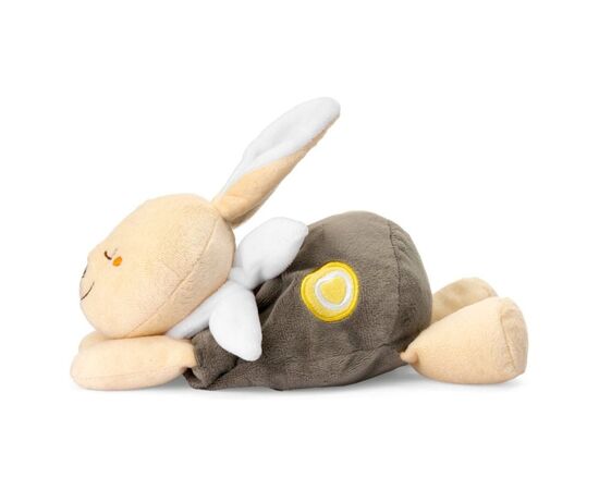 М'яка іграшка Chicco грілка Тепле зайченя Dou Dou (12161.00), зображення 2