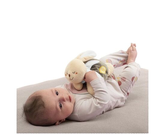 М'яка іграшка Chicco грілка Тепле зайченя Dou Dou (12161.00), зображення 6