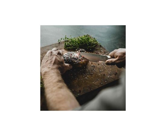 Кухонный нож Fiskars Norden для м'яса 21,1 см (1026422), изображение 3