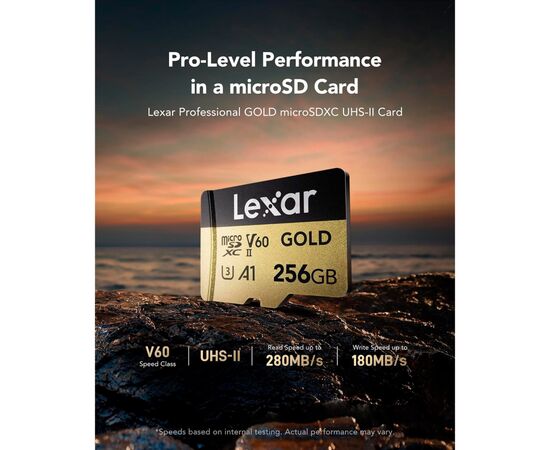 Карта памяти Lexar 256GB microSDXC class 10 UHS-II U3 V60 A1 Professional Gold (LMSGOLD256G-BNNNG), изображение 3