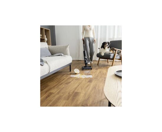 Пылесос Rowenta GZ5736E0, изображение 12