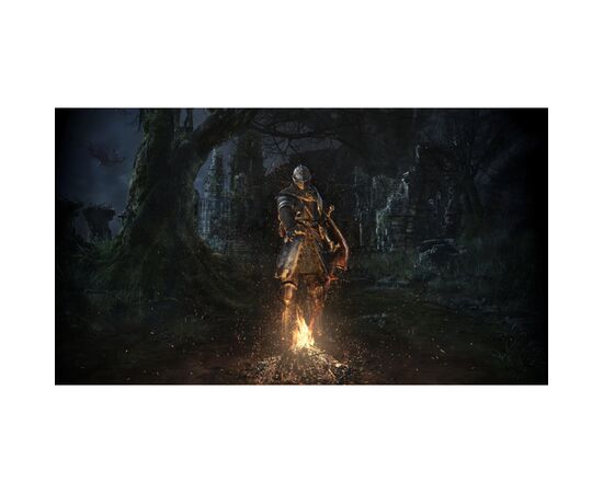 Гра Nintendo Dark Souls Remastered, картридж (045496421892), зображення 12